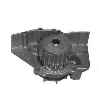 Pompe à eau MAGNETI MARELLI 352316170902