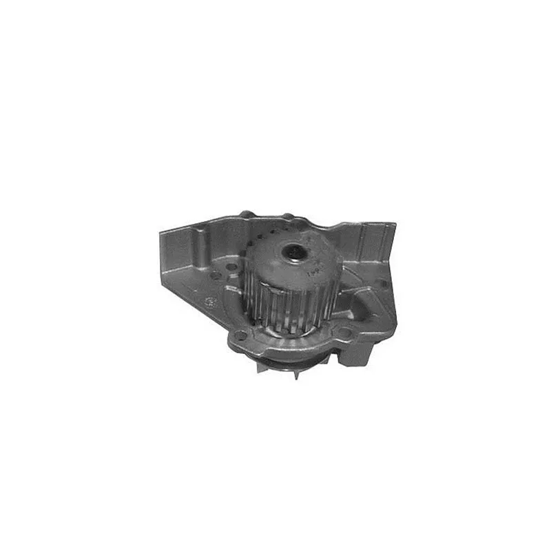 Pompe à eau MAGNETI MARELLI 352316170902