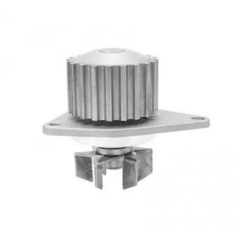 Pompe à eau MAGNETI MARELLI 352316170904