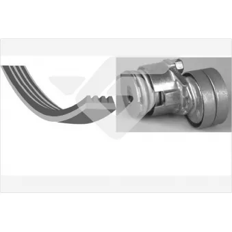 Jeu de courroies trapézoïdales à nervures HUTCHINSON KHV159