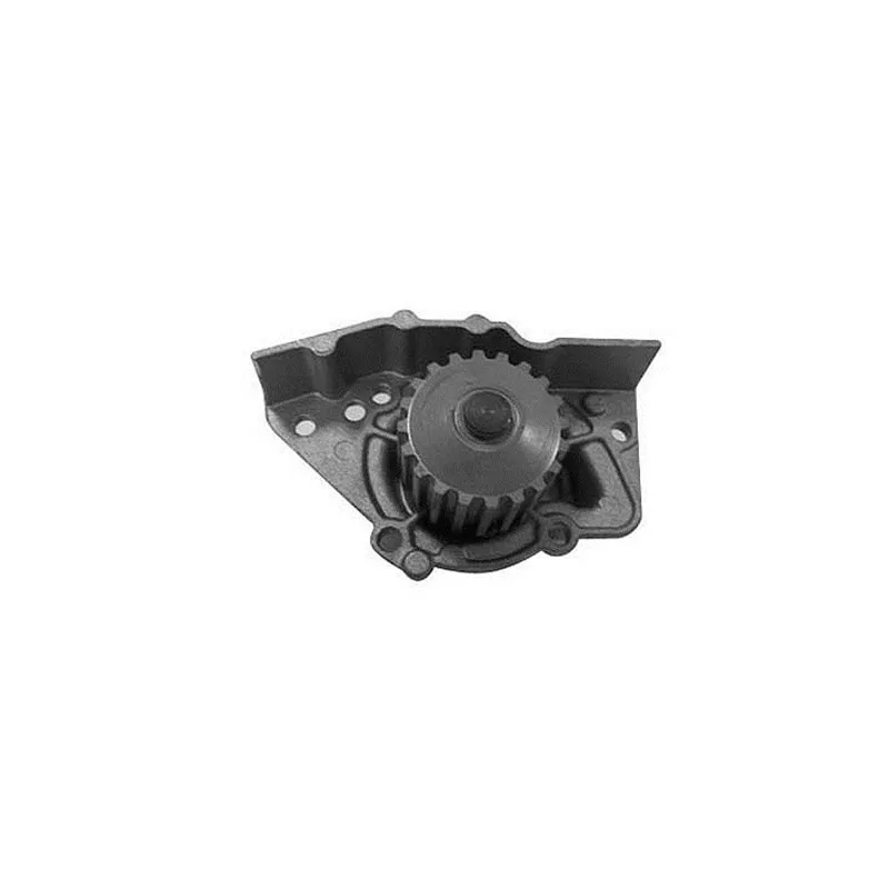 Pompe à eau MAGNETI MARELLI 352316170911