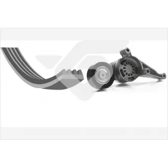 Jeu de courroies trapézoïdales à nervures HUTCHINSON KHV170