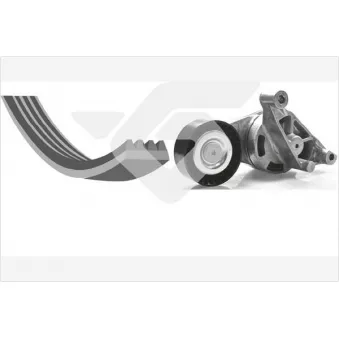 Jeu de courroies trapézoïdales à nervures HUTCHINSON KHV172