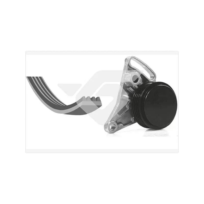 Jeu de courroies trapézoïdales à nervures HUTCHINSON KHV181