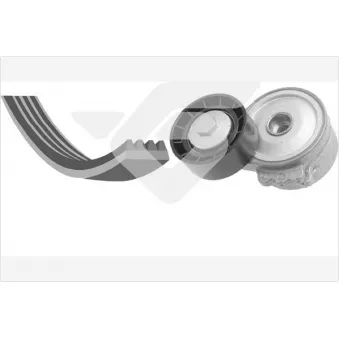 Jeu de courroies trapézoïdales à nervures HUTCHINSON KHV185