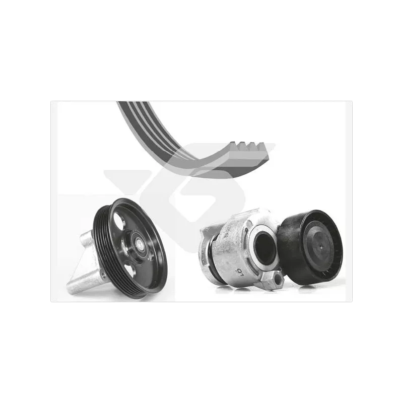 Jeu de courroies trapézoïdales à nervures HUTCHINSON KHV209