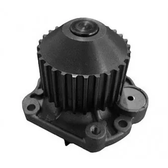 Pompe à eau MAGNETI MARELLI 352316170928
