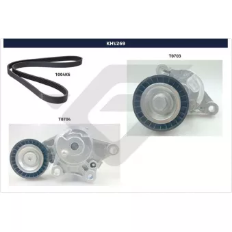 Jeu de courroies trapézoïdales à nervures HUTCHINSON KHV 269