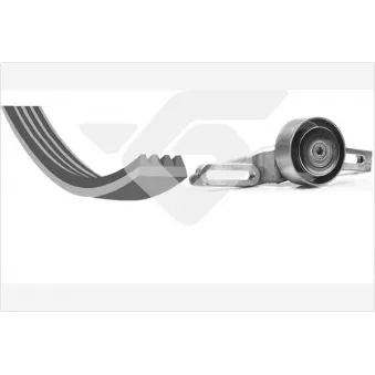 Jeu de courroies trapézoïdales à nervures HUTCHINSON KHV31