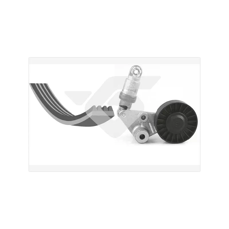 Jeu de courroies trapézoïdales à nervures HUTCHINSON KHV33