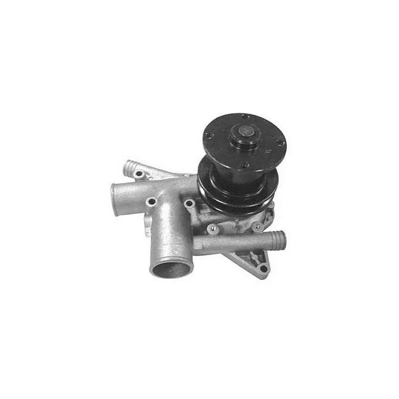 Pompe à eau MAGNETI MARELLI 352316170977