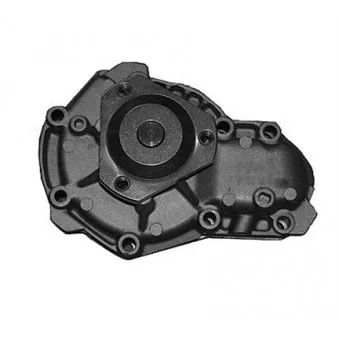 Pompe à eau MAGNETI MARELLI 352316170993