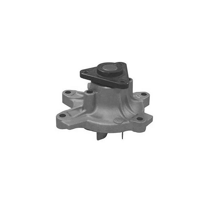 Pompe à eau MAGNETI MARELLI 352316171120