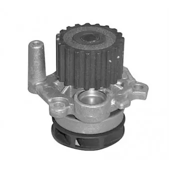 Pompe à eau MAGNETI MARELLI 352316171170