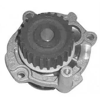 Pompe à eau MAGNETI MARELLI 352316171171
