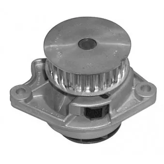 Pompe à eau MAGNETI MARELLI 352316171175