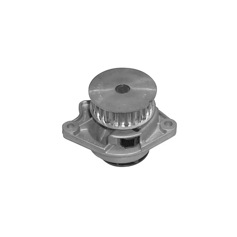 Pompe à eau MAGNETI MARELLI 352316171175