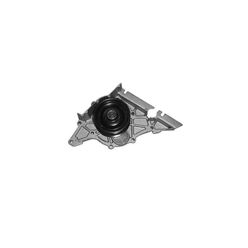 Pompe à eau MAGNETI MARELLI 352316171176