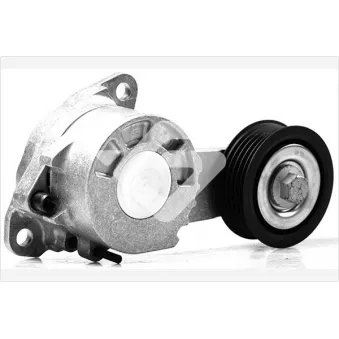 Poulie-tendeur, courroie trapézoïdale à nervures HUTCHINSON