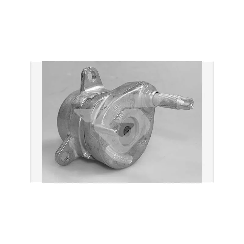 Poulie-tendeur, courroie trapézoïdale à nervures HUTCHINSON T0605