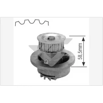 Pompe à eau HUTCHINSON WP02