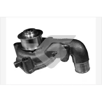 Pompe à eau HUTCHINSON WP100