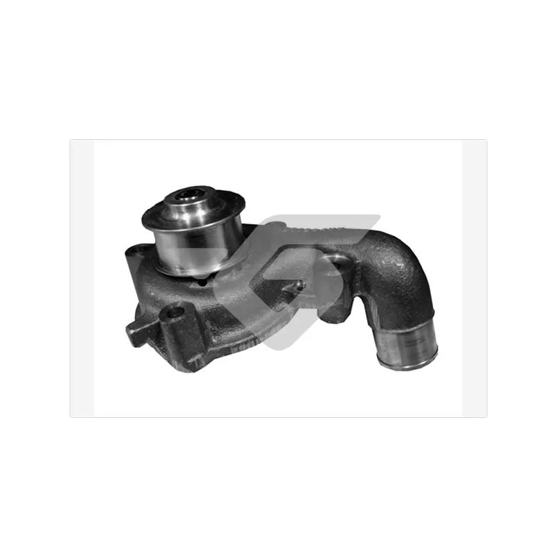 Pompe à eau HUTCHINSON WP100