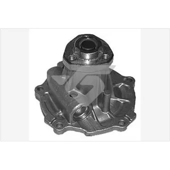 Pompe à eau HUTCHINSON WP102