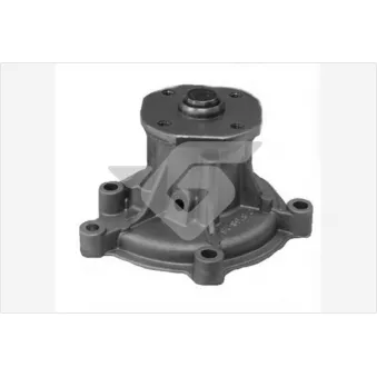 Pompe à eau HUTCHINSON WP104
