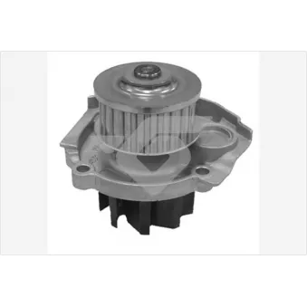 Pompe à eau HUTCHINSON WP107