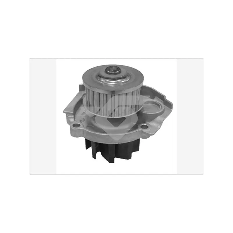 Pompe à eau HUTCHINSON WP107