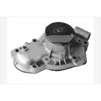 Pompe à eau HUTCHINSON WP111
