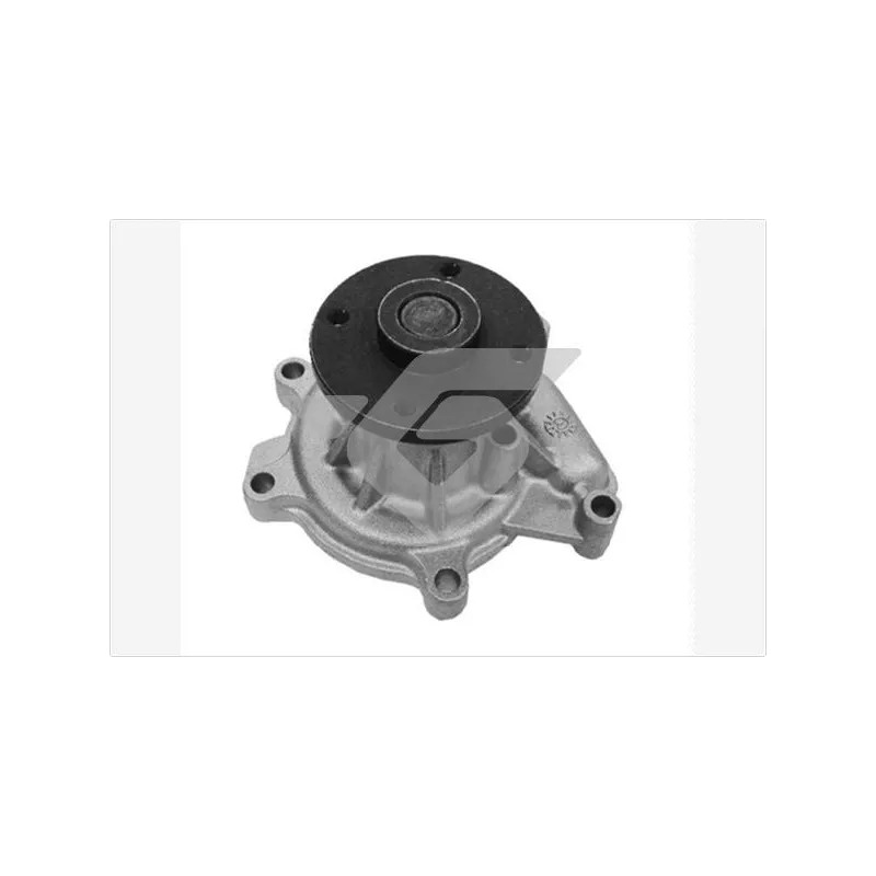 Pompe à eau HUTCHINSON WP141