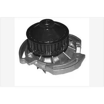 Pompe à eau HUTCHINSON WP146