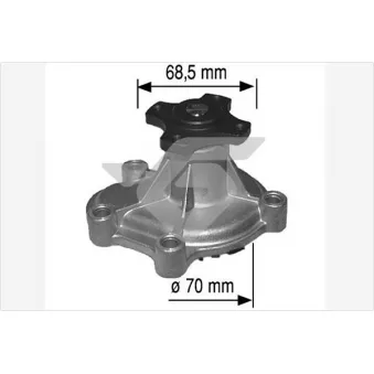 Pompe à eau HUTCHINSON WP147
