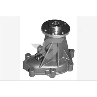 Pompe à eau HUTCHINSON WP155