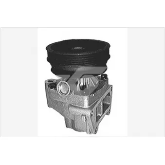 Pompe à eau HUTCHINSON WP161