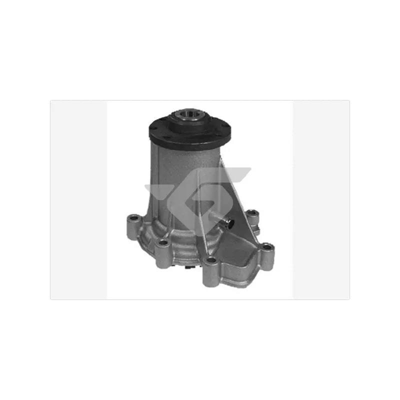 Pompe à eau HUTCHINSON WP165