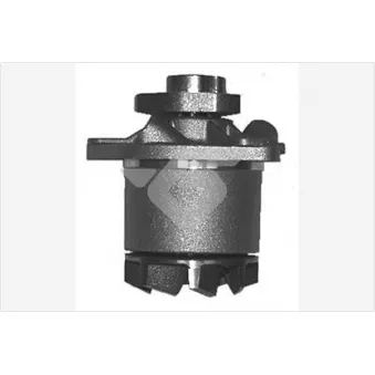 Pompe à eau HUTCHINSON WP169
