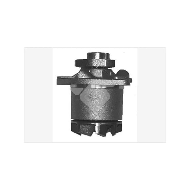 Pompe à eau HUTCHINSON WP169
