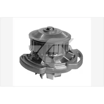 Pompe à eau HUTCHINSON WP179