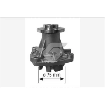 Pompe à eau HUTCHINSON WP180
