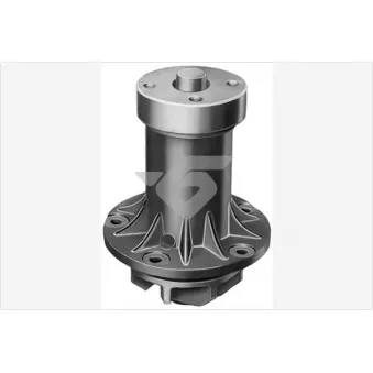 Pompe à eau HUTCHINSON WP200