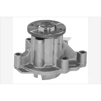 Pompe à eau HUTCHINSON WP204