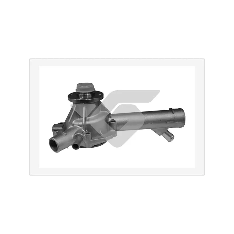 Pompe à eau HUTCHINSON WP207