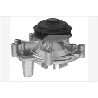 Pompe à eau HUTCHINSON WP212