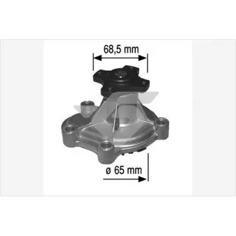 Pompe à eau HUTCHINSON WP213