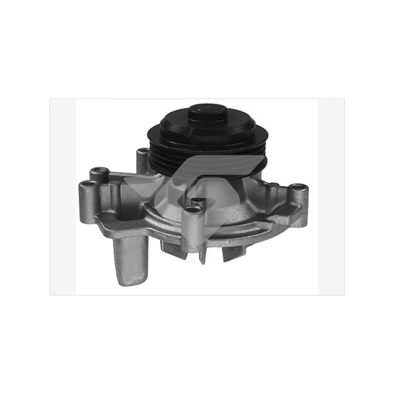 Pompe à eau HUTCHINSON WP220