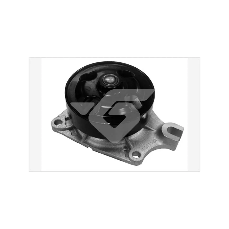 Pompe à eau HUTCHINSON WP225