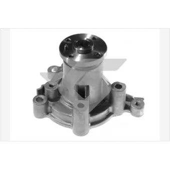 Pompe à eau HUTCHINSON WP229